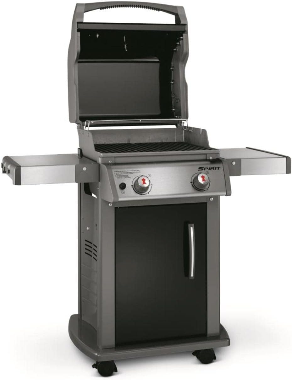 Black 2-Burner Liquid Propane Gas Grill X883239
