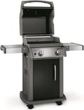 Black 2-Burner Liquid Propane Gas Grill X883239