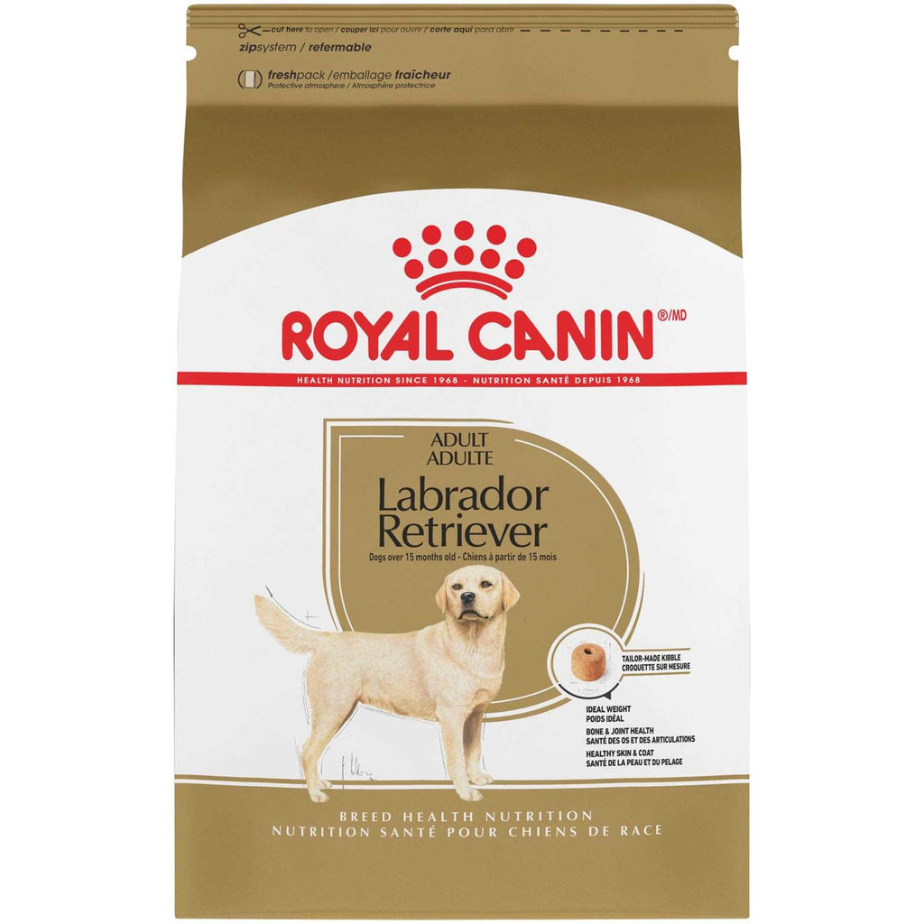 Labrador Retriever Adult Dry Dog Food X552788
