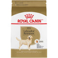 Labrador Retriever Adult Dry Dog Food X552788