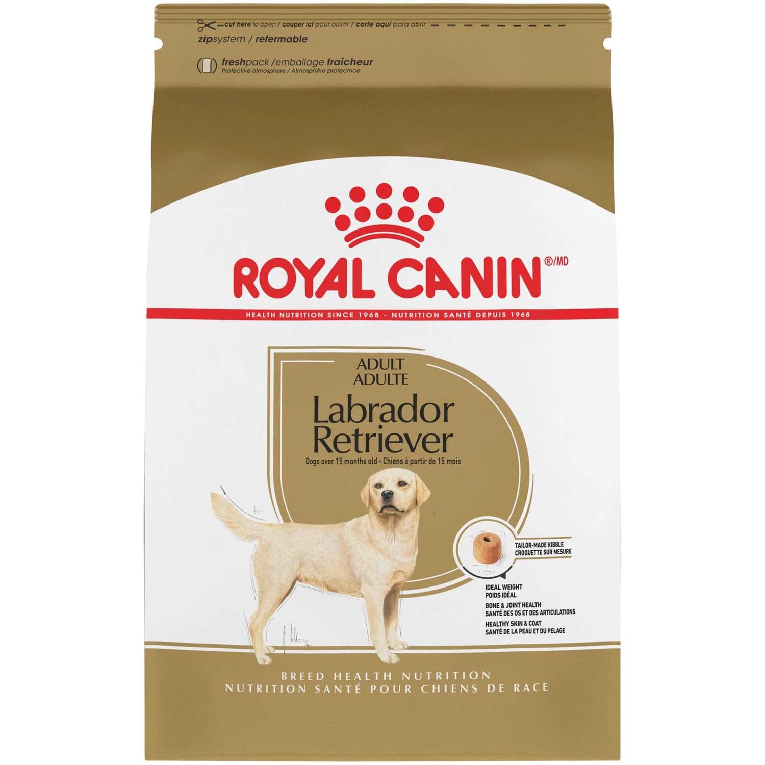 Labrador Retriever Adult Dry Dog Food X552788
