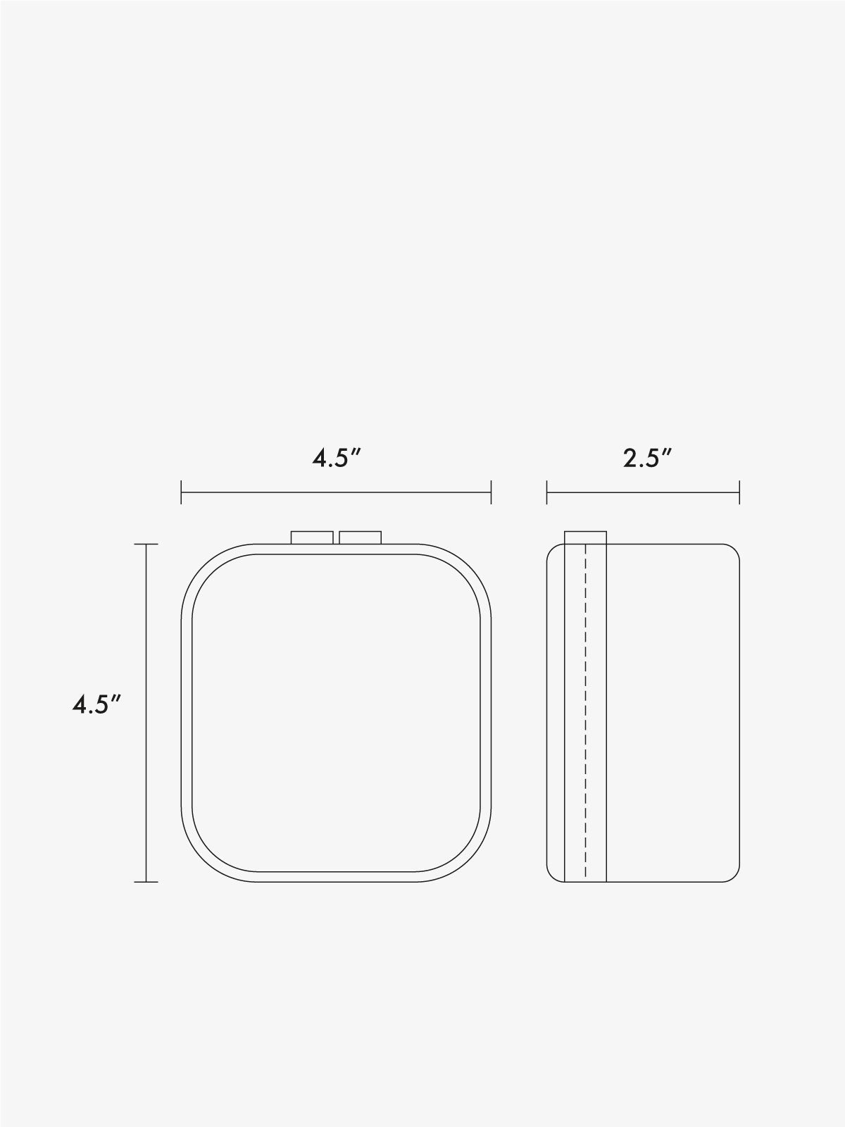 Tiny Clear Cosmetics Case