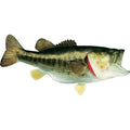 Largemouth Bass Fish Mount Replica W813412