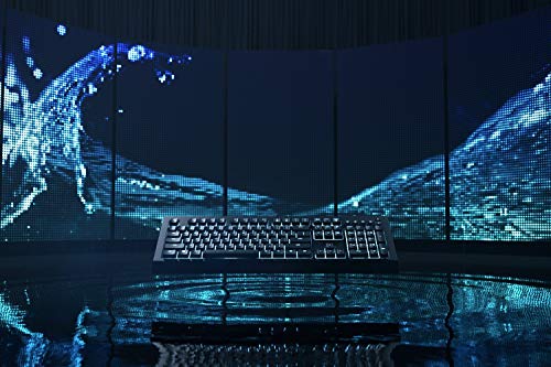 Gaming Keyboard with RGB Keys S5395