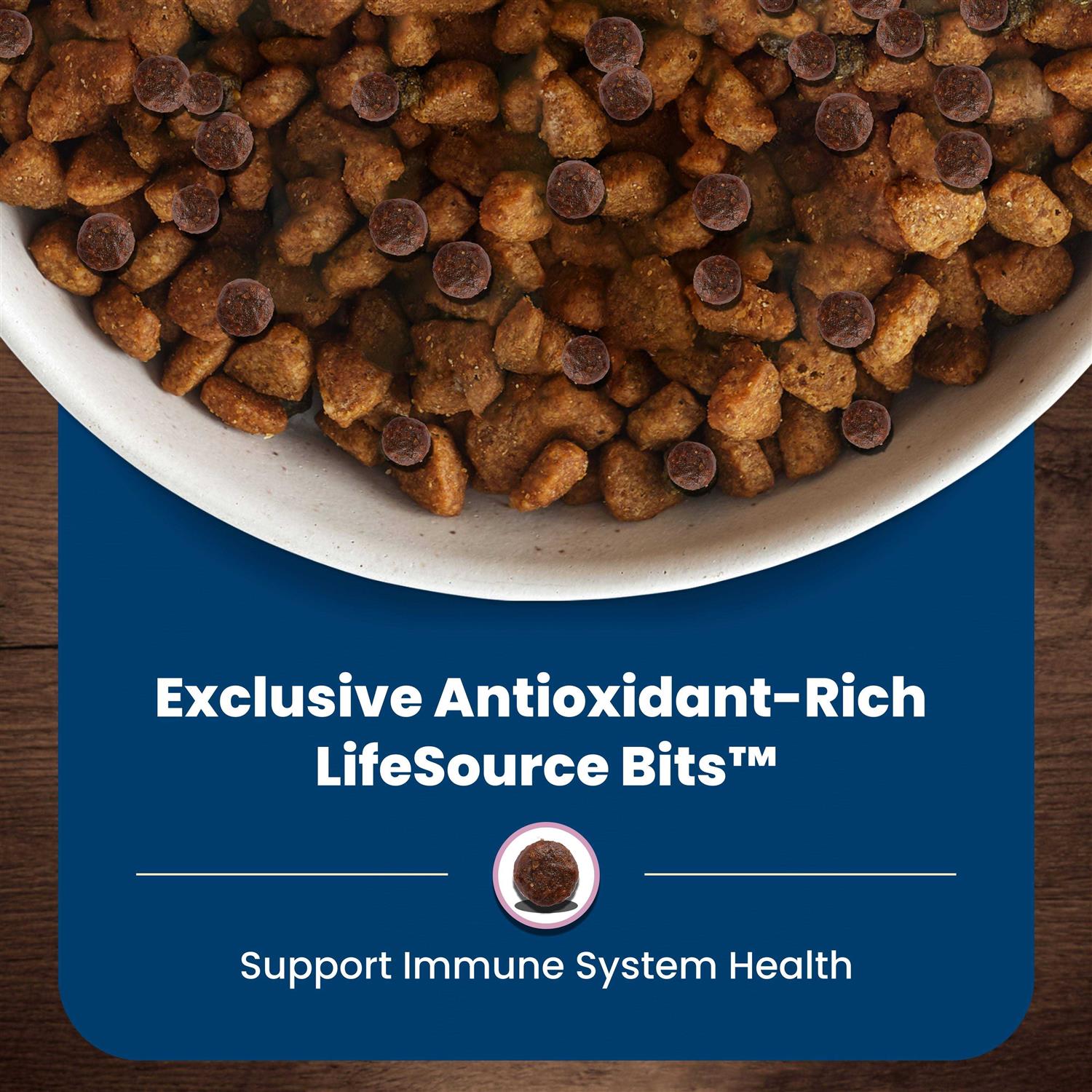 Large Breed Adult Lamb & Brown Rice Recipe Dry Dog Food Y657632