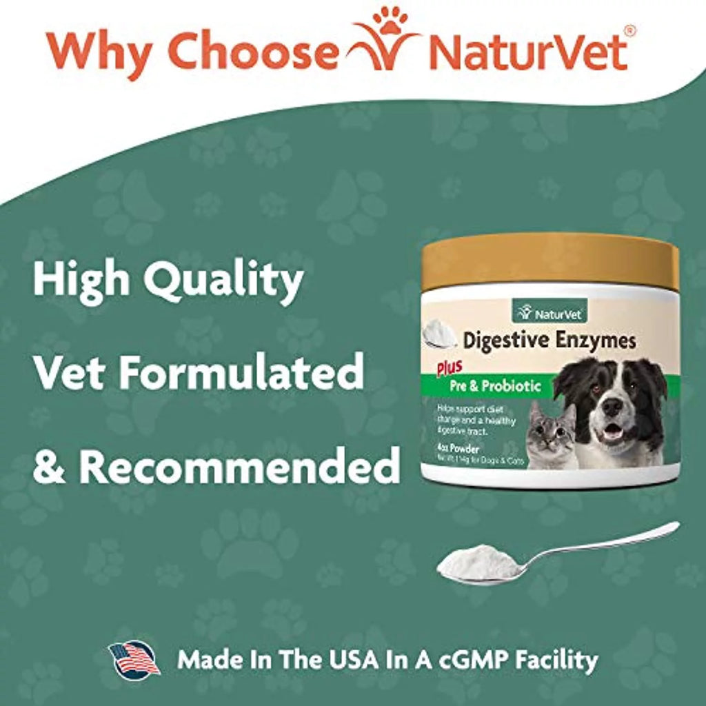 Digestive Enzymes Powder 4 oz Y7253