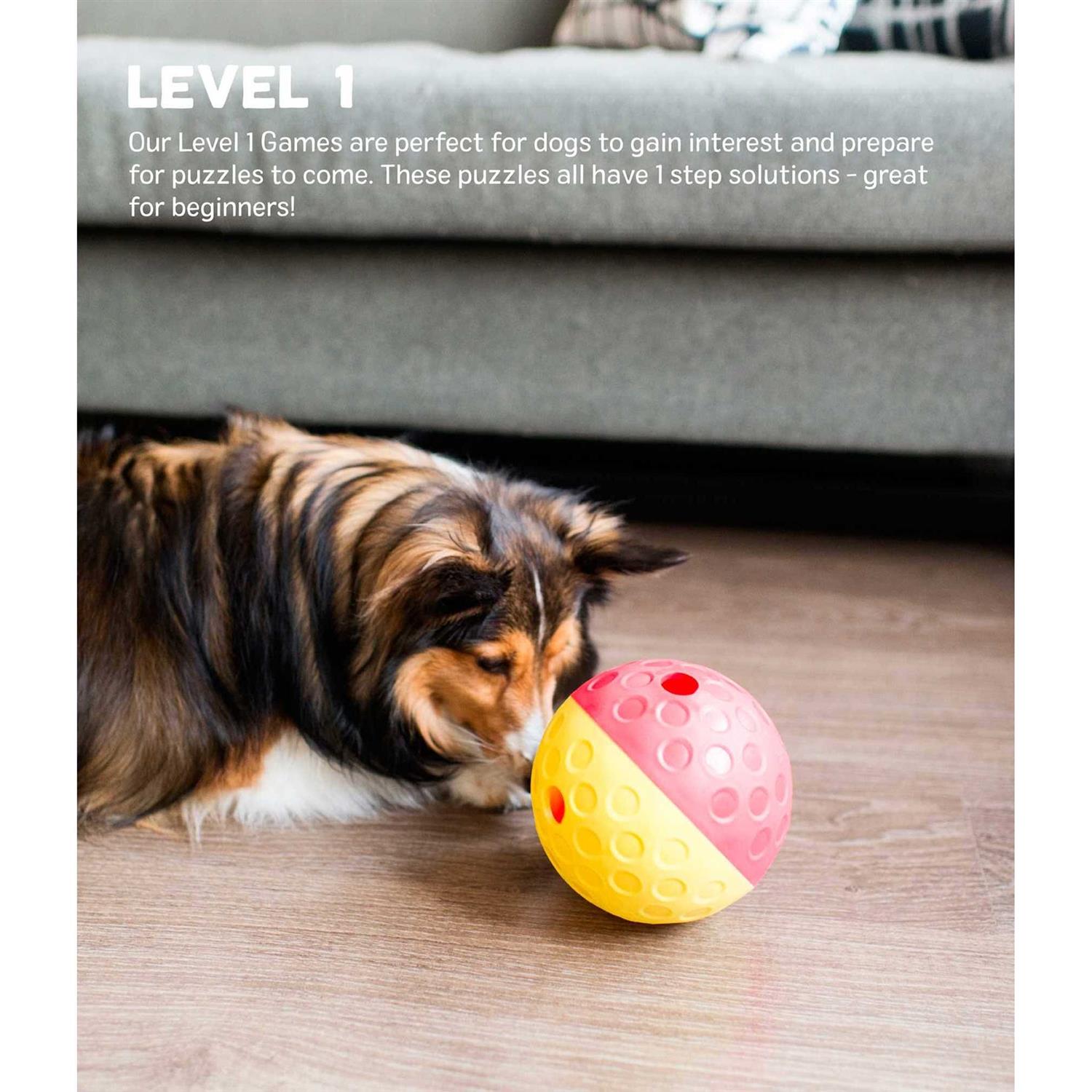 Treat Tumble Dog Toy B972792