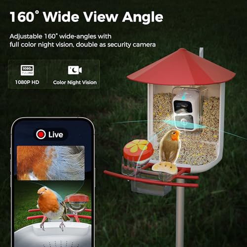 Bird Feeder with Camera L39050
