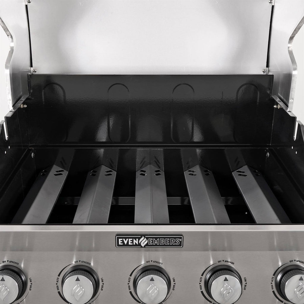 5-Burner Propane Gas Grill in Stainless Steel and Black E17823