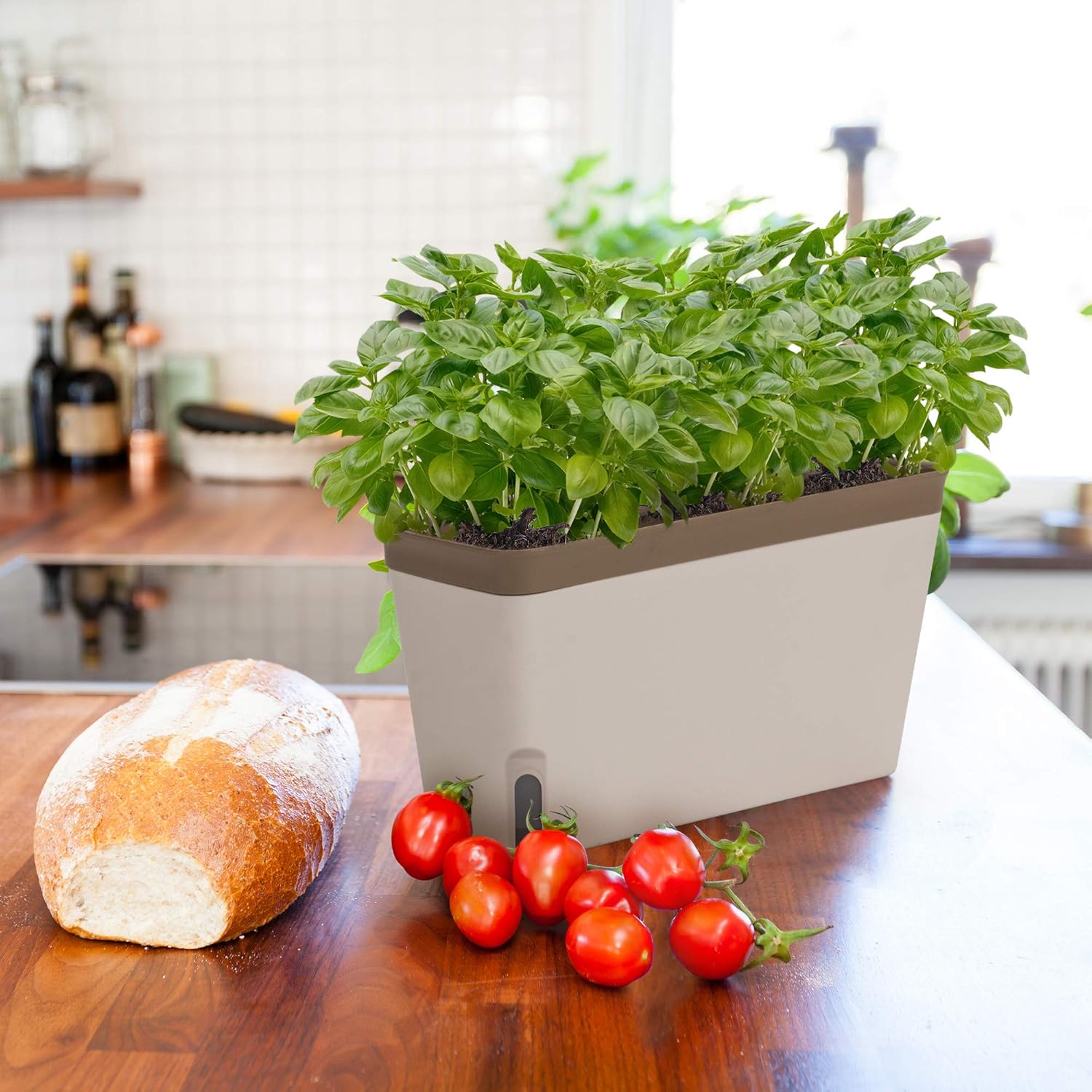 Self-Watering Rectangular Window Herb Planter Box Set of 3 V695