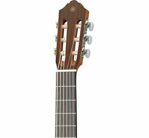 Classical Guitar N734