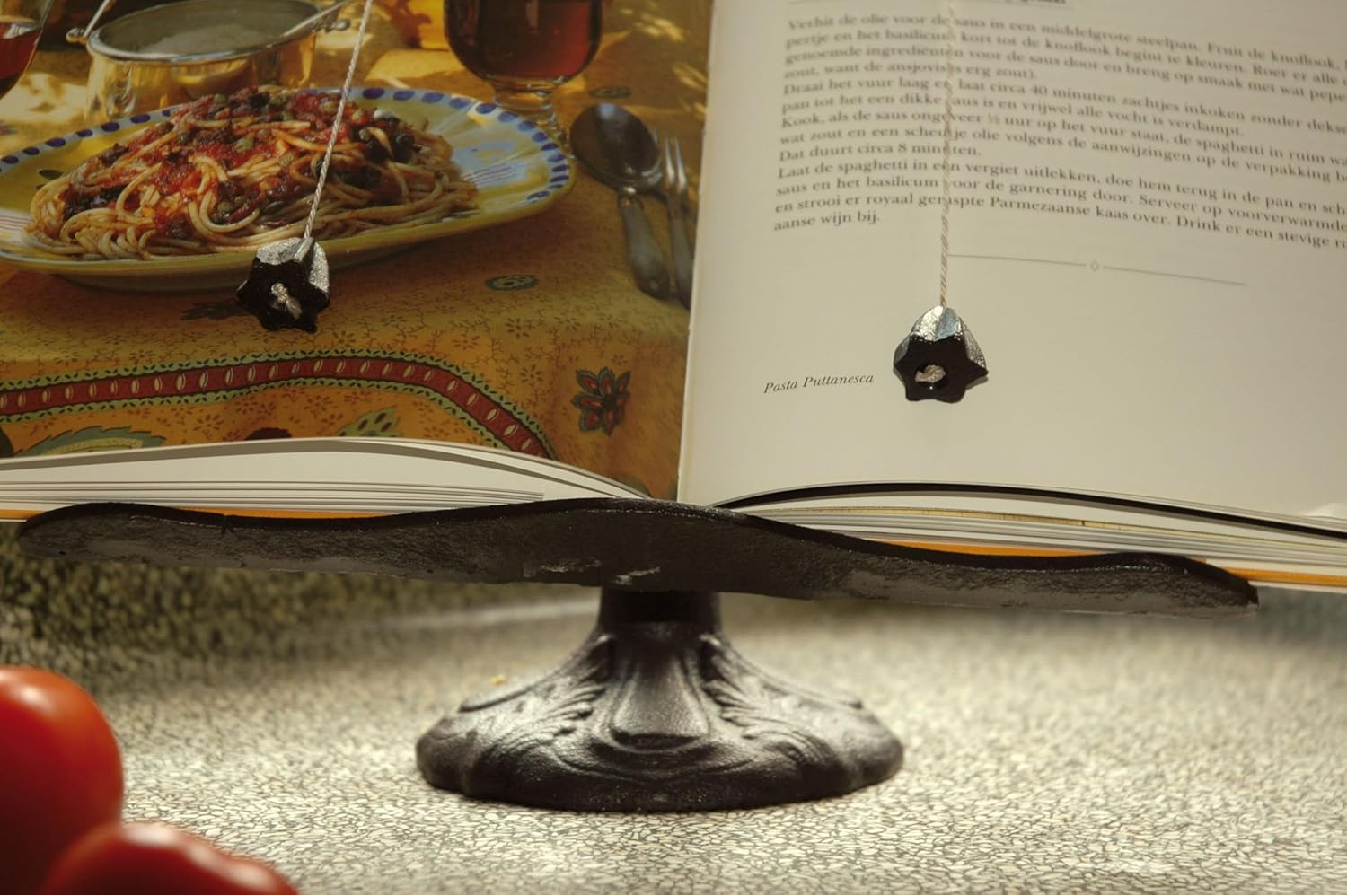 Cast Iron Cookbook Stand N865524