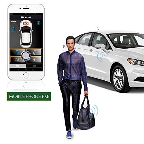 Passive Keyless Entry Push Button Car Alarm System Remote Key T289910
