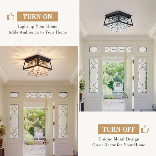 11.8 inch 4-Light Black Metal Ceiling Light F26452
