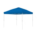 10' x 10' Straight Leg Canopy Y683530