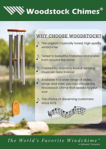 30'' Silver Wind Chimes D2156