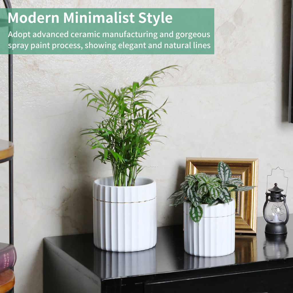 2 Pack White Ceramic Plant Pots with Drainage Hole X404