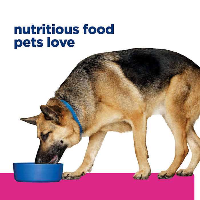 Gastrointestinal Biome Chicken & Vegetable Stew Wet Dog Food I868