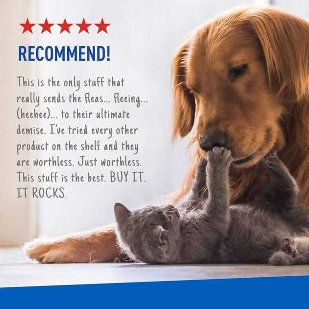 Flea Tick Spray K25658