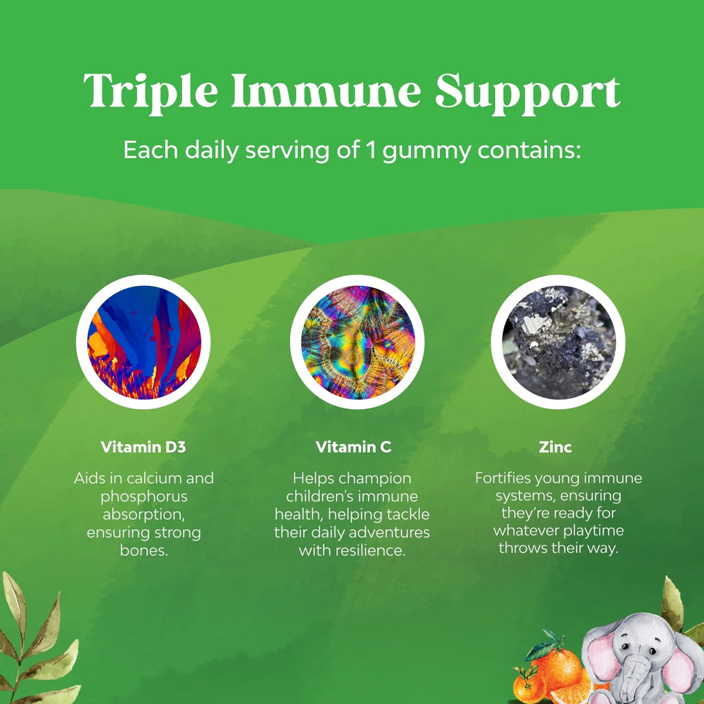 Organic Kids Immune Support Gummies - Vegan Organic Vitamin D Gummies with Vitamin C and Zinc - Gluten Free & Non GMO (120 Servings) R956910