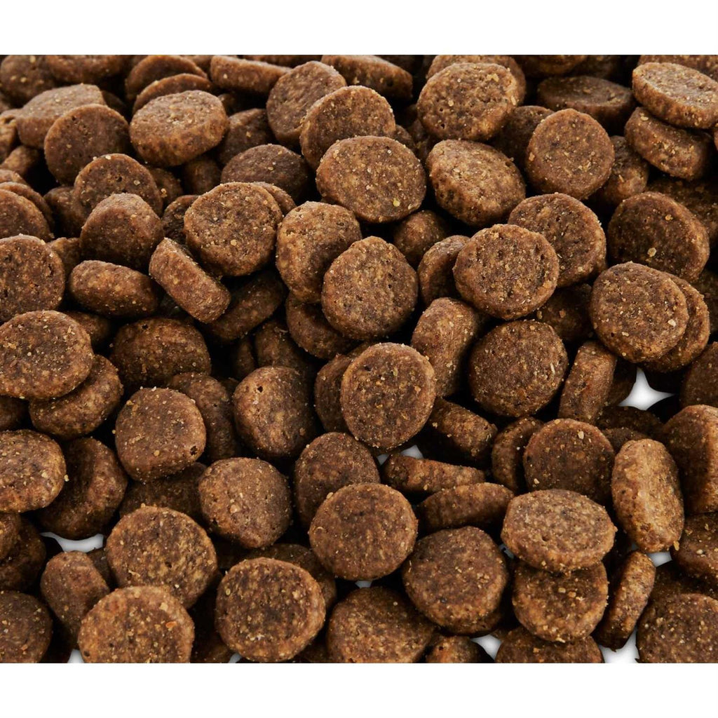Grain Free Salmon and Pea Recipe Dry Dog Food O738000