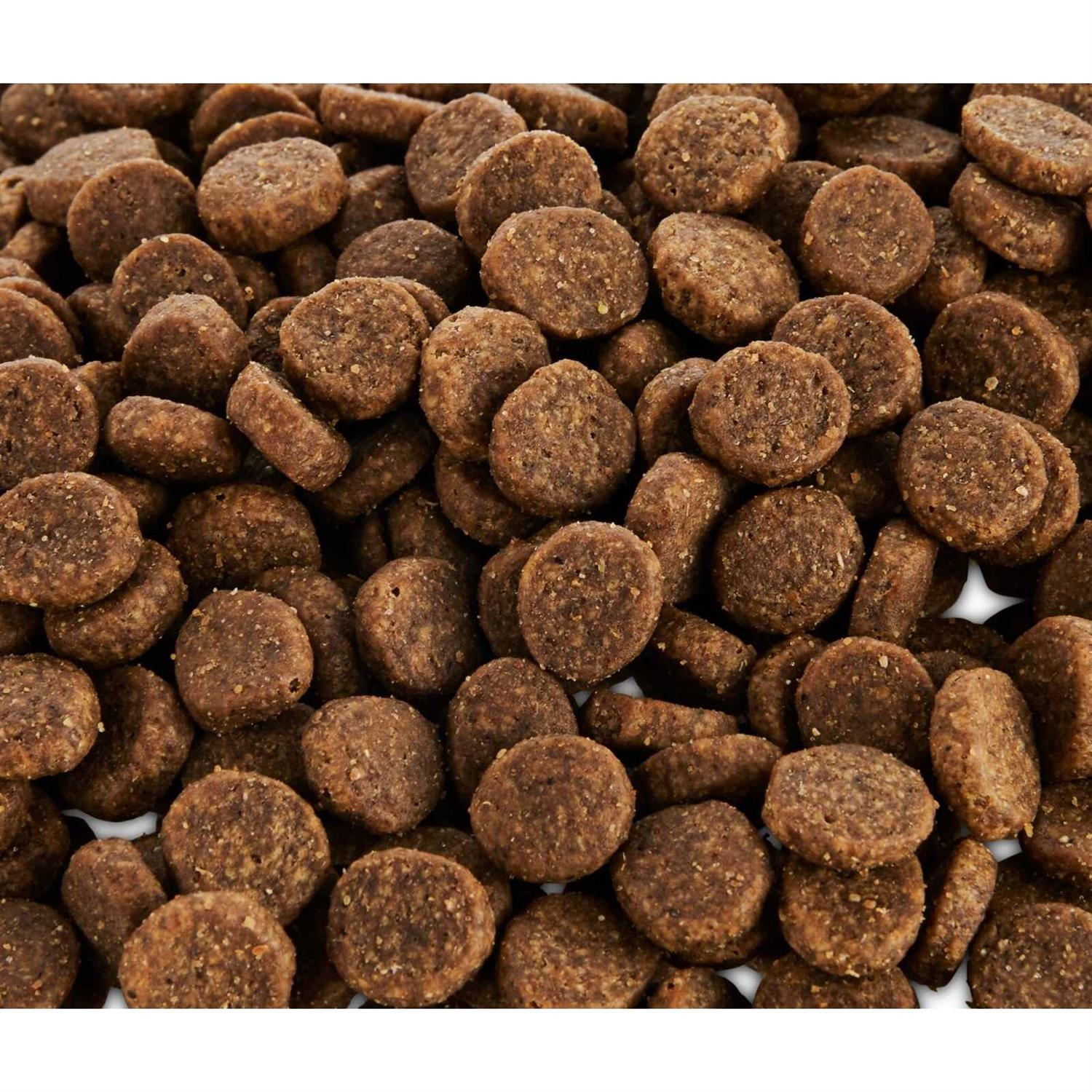 Grain Free Salmon and Pea Recipe Dry Dog Food O738000