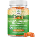 Organic Kids Immune Support Gummies - Vegan Organic Vitamin D Gummies with Vitamin C and Zinc - Gluten Free & Non GMO (120 Servings) R956910