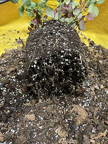 20QT Organic Perlite Horticultural Soil Amendment K625712