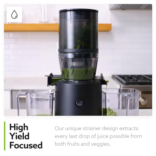 Cold Press Masticating Juicer X138