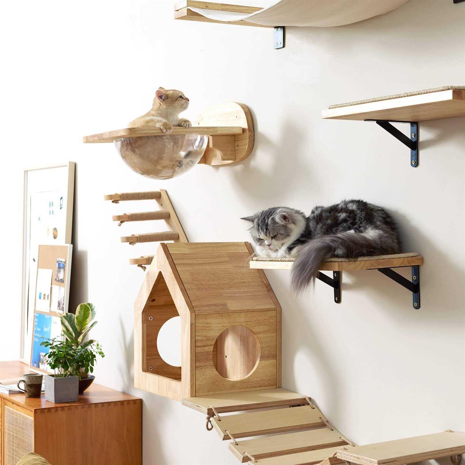 Cat Wall Furniture Set Transparent Capsule Cat Wall Shelves with 2 PCS Pedals Q671