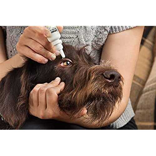 Pet Eye Drops P400082