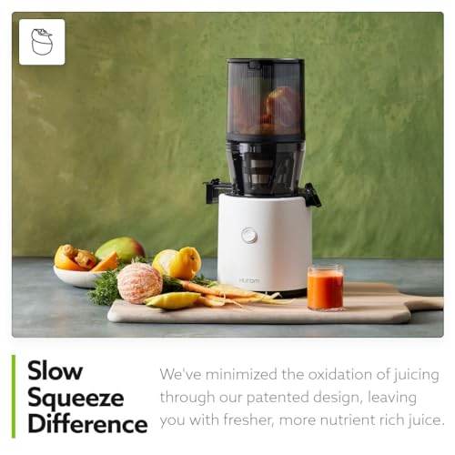 Cold Press Masticating Juicer X138