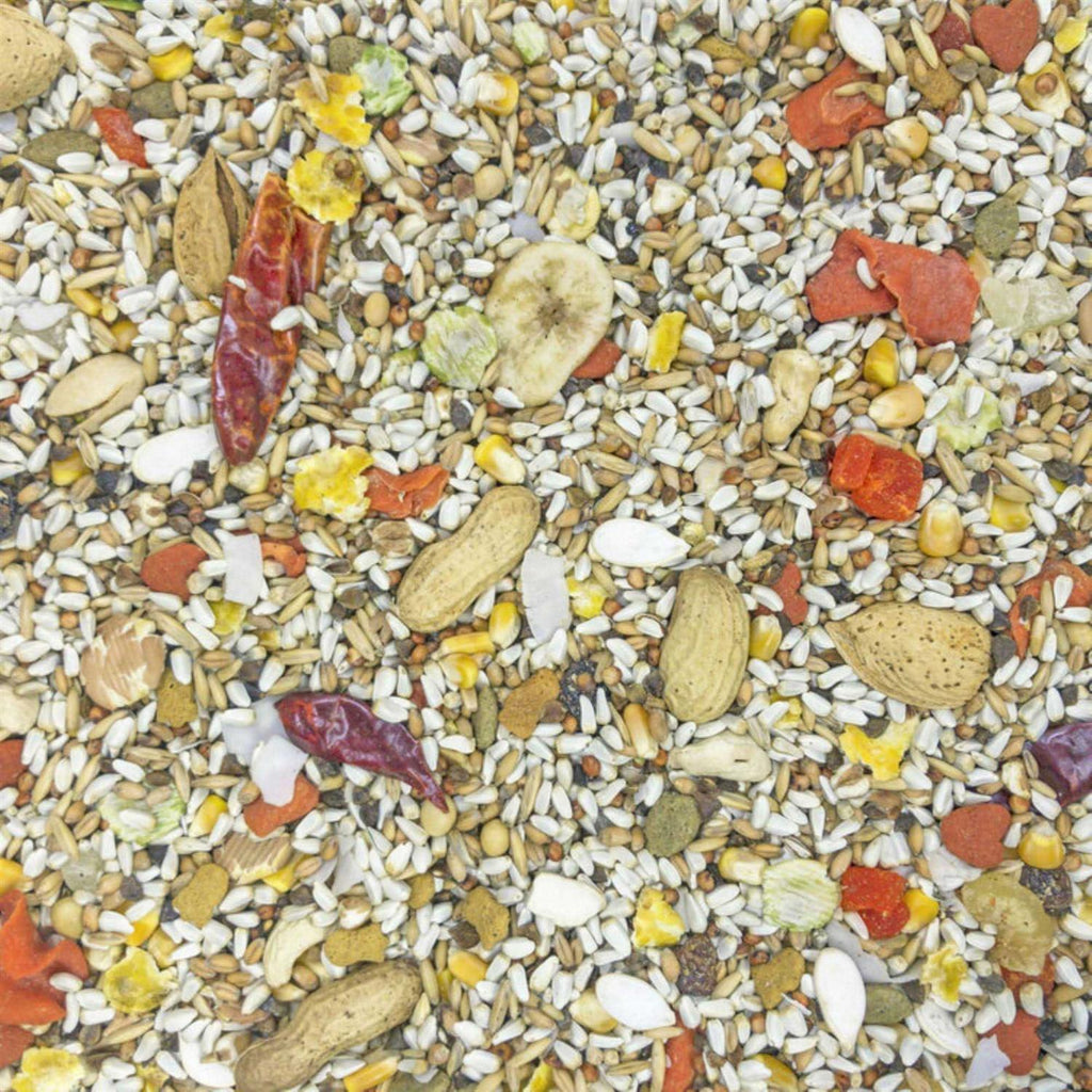 Safflower Gold Parrot Food Q220343