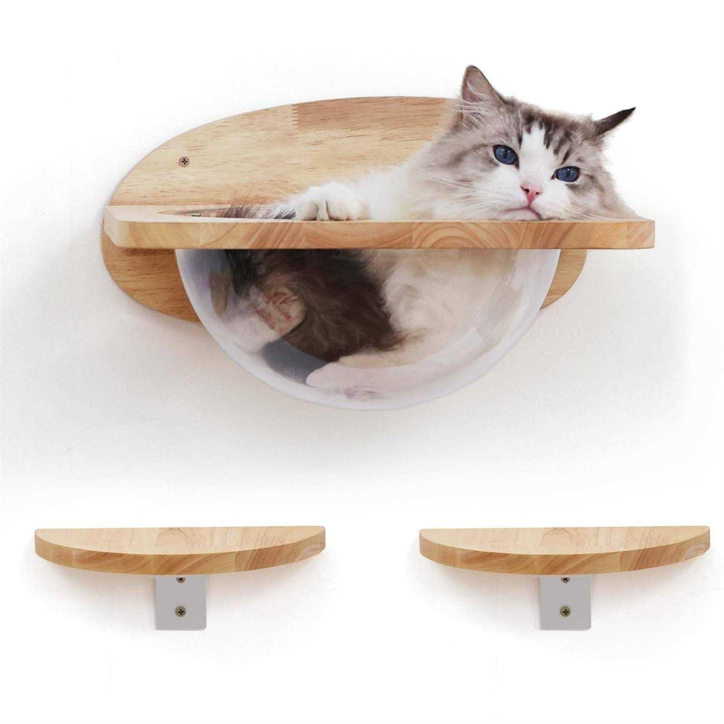 Cat Wall Furniture Set Transparent Capsule Cat Wall Shelves with 2 PCS Pedals Q671