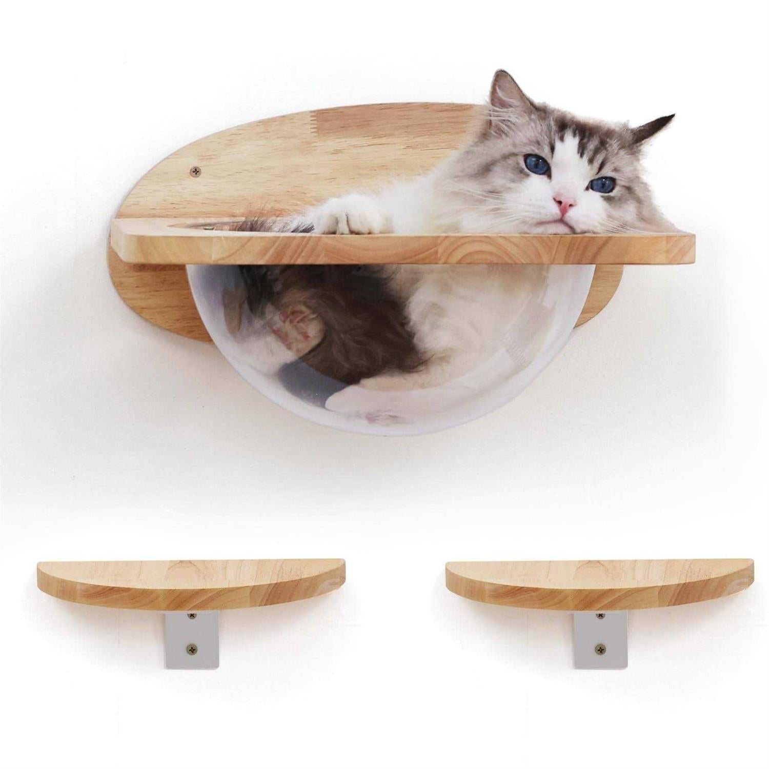 Cat Wall Furniture Set Transparent Capsule Cat Wall Shelves with 2 PCS Pedals Q671